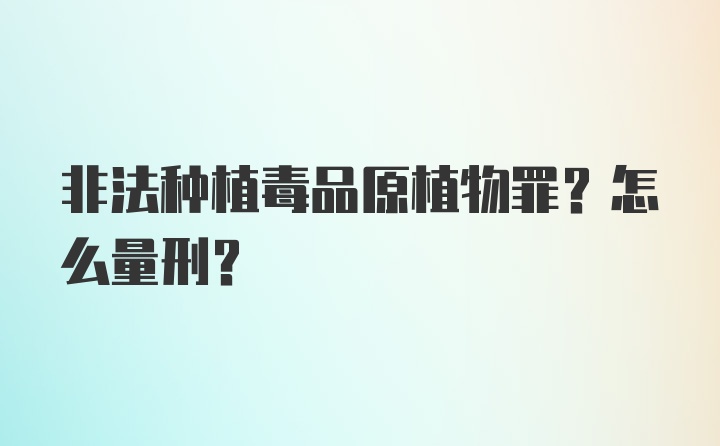 非法种植毒品原植物罪?怎么量刑?