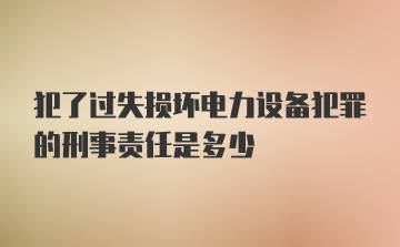 犯了过失损坏电力设备犯罪的刑事责任是多少