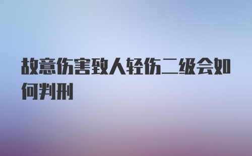 故意伤害致人轻伤二级会如何判刑