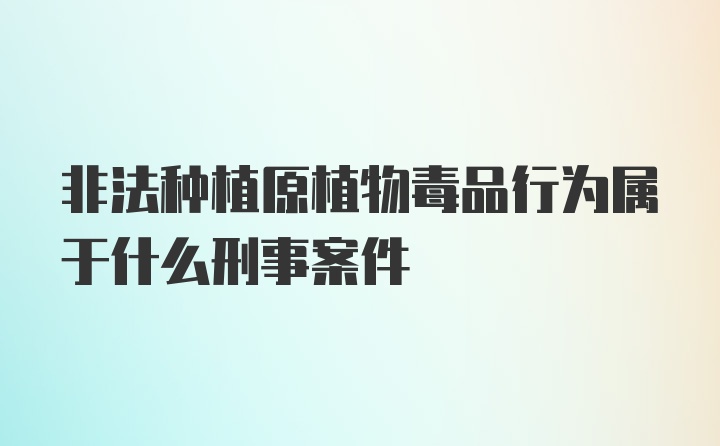 非法种植原植物毒品行为属于什么刑事案件