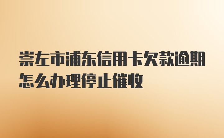 崇左市浦东信用卡欠款逾期怎么办理停止催收