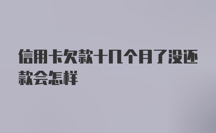 信用卡欠款十几个月了没还款会怎样