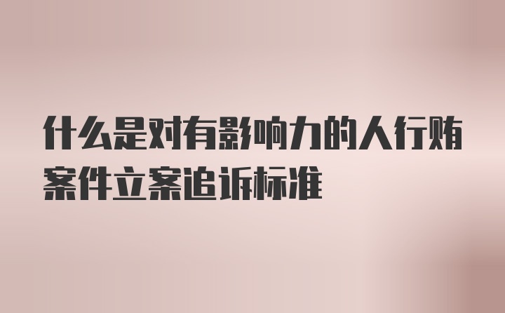 什么是对有影响力的人行贿案件立案追诉标准