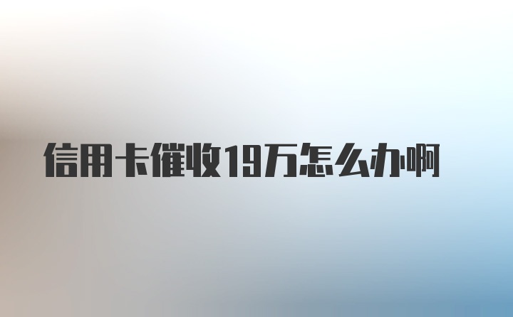 信用卡催收19万怎么办啊