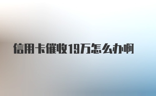 信用卡催收19万怎么办啊