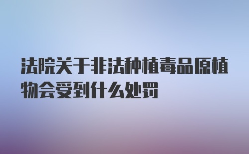 法院关于非法种植毒品原植物会受到什么处罚