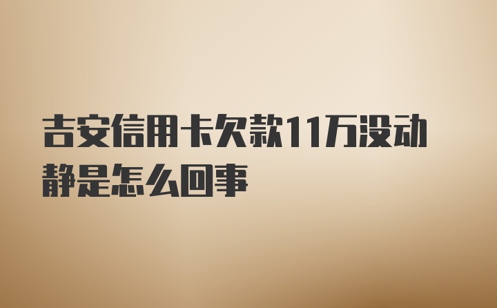 吉安信用卡欠款11万没动静是怎么回事