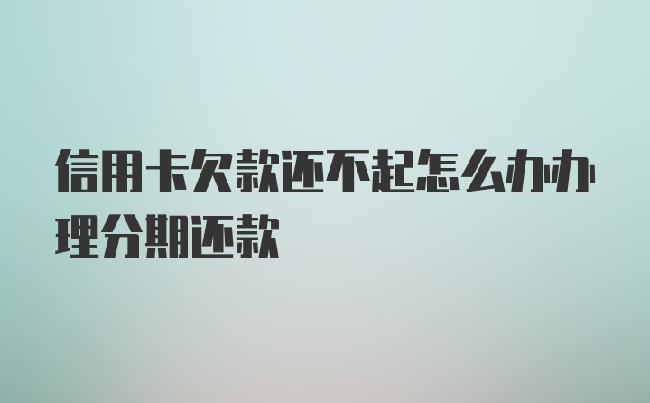 信用卡欠款还不起怎么办办理分期还款