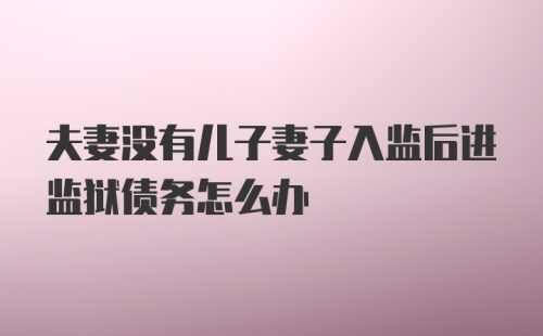 夫妻没有儿子妻子入监后进监狱债务怎么办