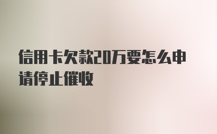 信用卡欠款20万要怎么申请停止催收