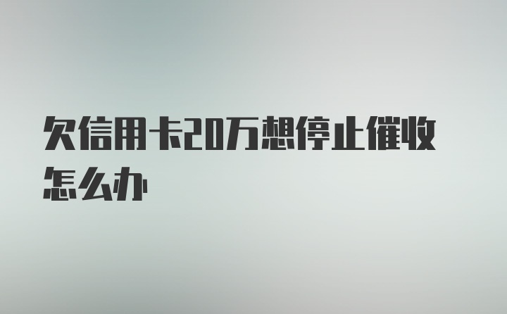 欠信用卡20万想停止催收怎么办