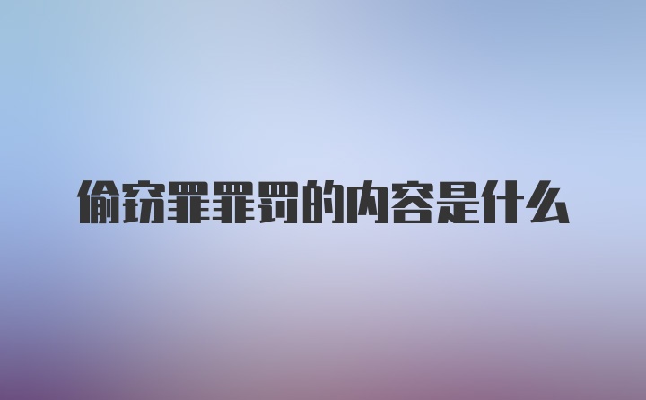 偷窃罪罪罚的内容是什么