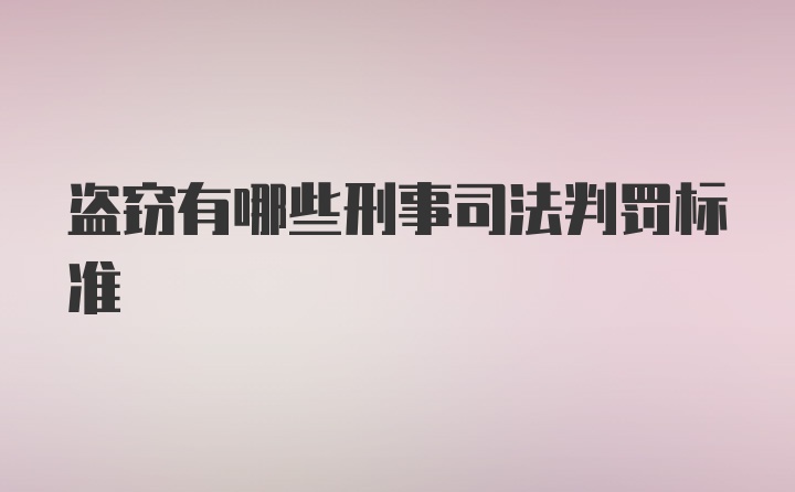 盗窃有哪些刑事司法判罚标准