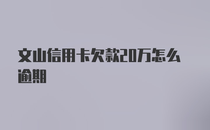 文山信用卡欠款20万怎么逾期