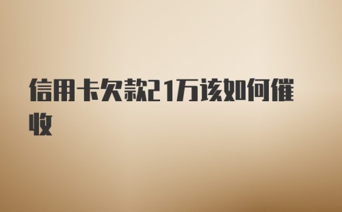 信用卡欠款21万该如何催收