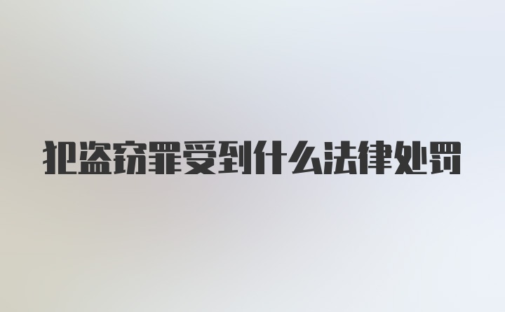 犯盗窃罪受到什么法律处罚