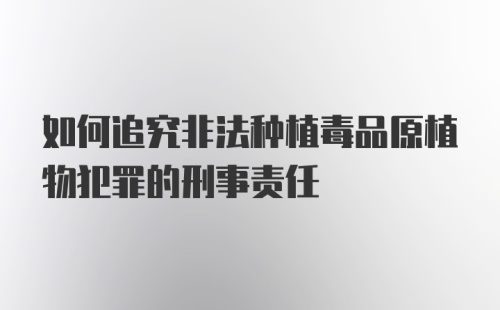 如何追究非法种植毒品原植物犯罪的刑事责任