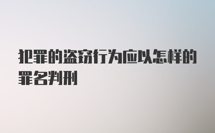 犯罪的盗窃行为应以怎样的罪名判刑