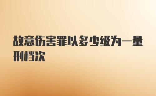 故意伤害罪以多少级为一量刑档次