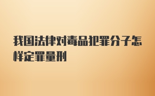 我国法律对毒品犯罪分子怎样定罪量刑