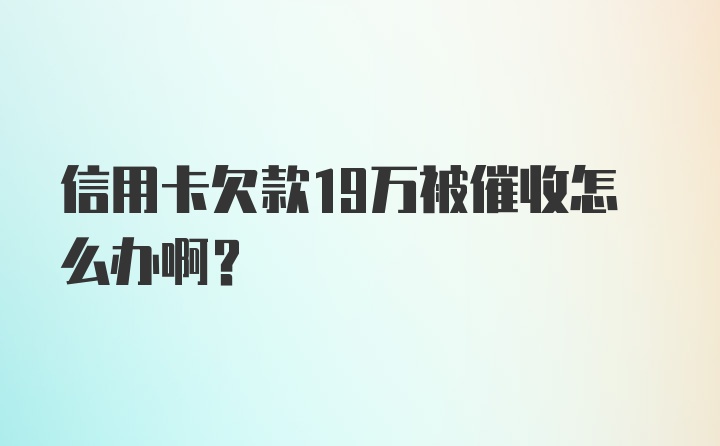 信用卡欠款19万被催收怎么办啊？