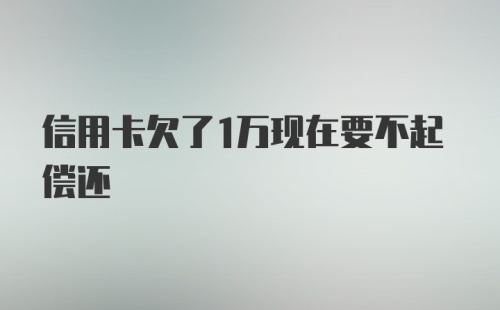 信用卡欠了1万现在要不起偿还