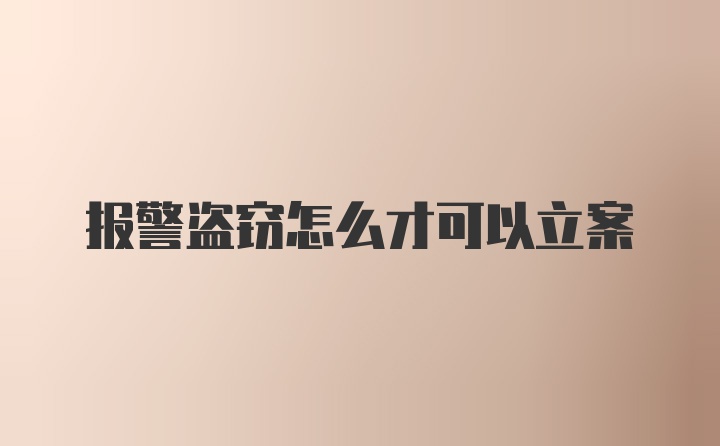 报警盗窃怎么才可以立案