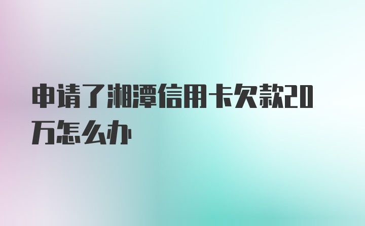 申请了湘潭信用卡欠款20万怎么办