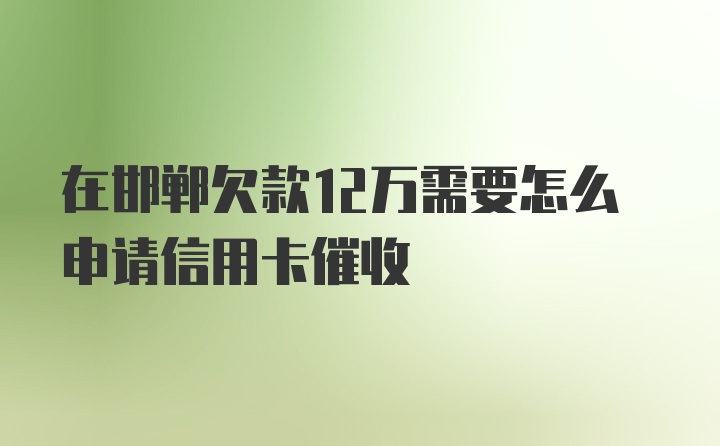 在邯郸欠款12万需要怎么申请信用卡催收