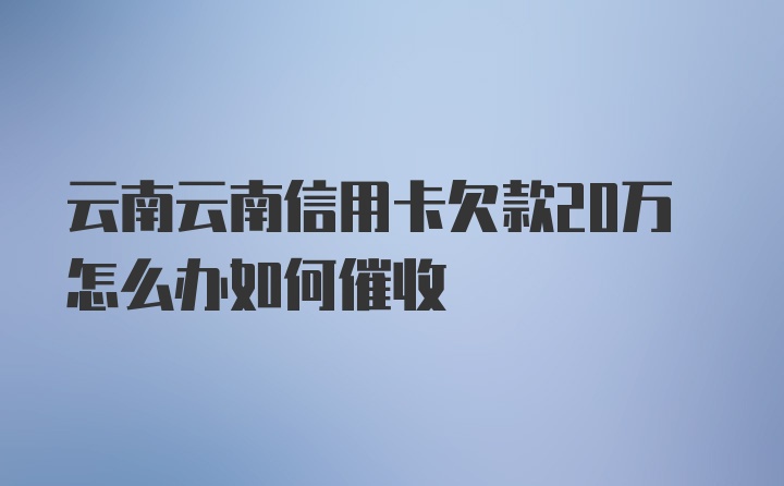 云南云南信用卡欠款20万怎么办如何催收