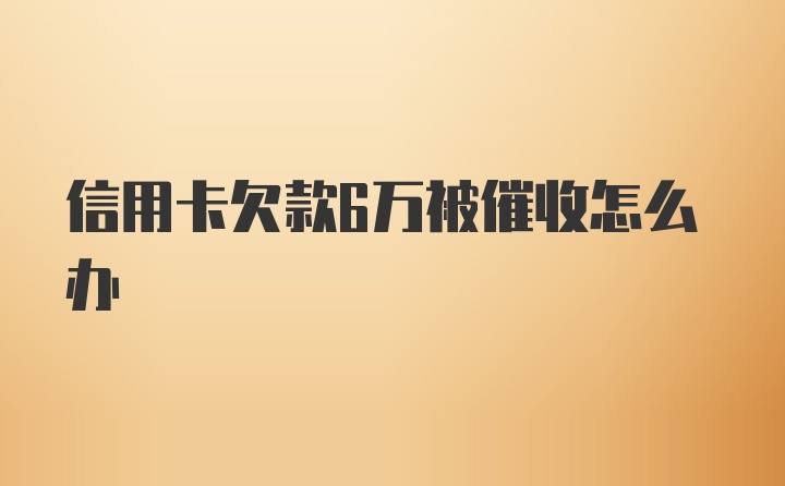 信用卡欠款6万被催收怎么办