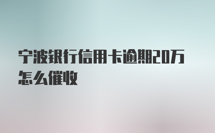 宁波银行信用卡逾期20万怎么催收