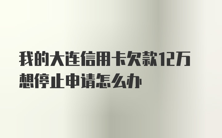 我的大连信用卡欠款12万想停止申请怎么办