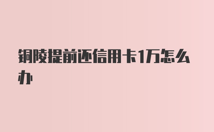 铜陵提前还信用卡1万怎么办