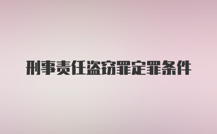 刑事责任盗窃罪定罪条件