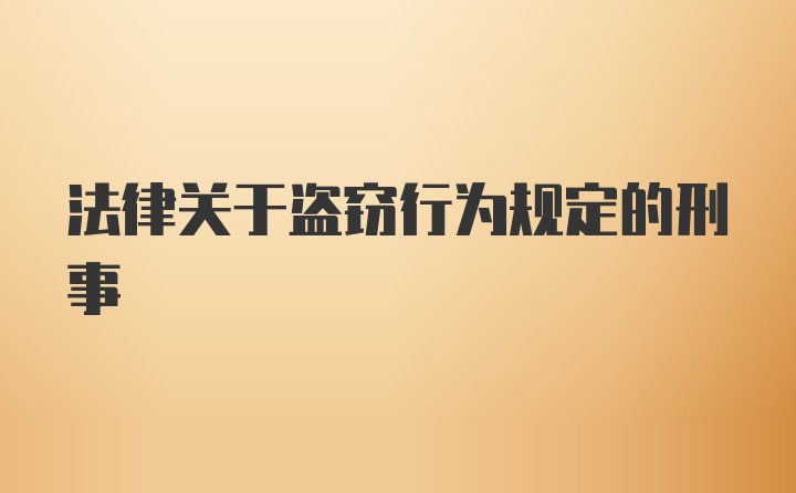 法律关于盗窃行为规定的刑事