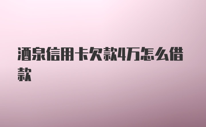 酒泉信用卡欠款4万怎么借款