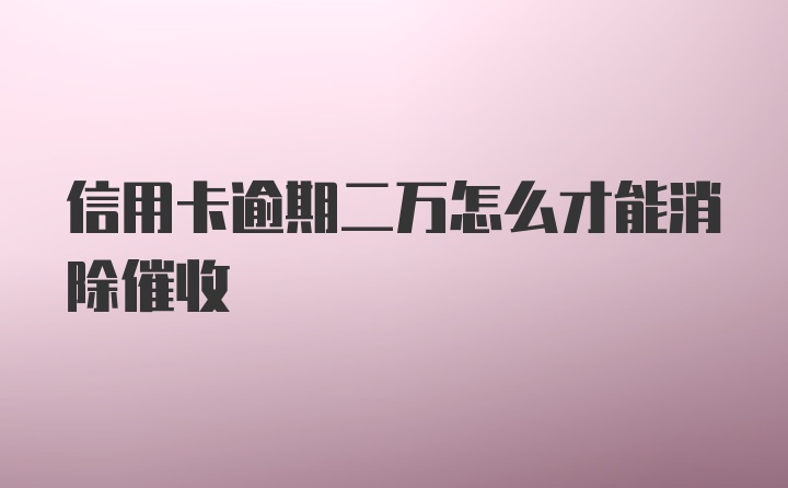 信用卡逾期二万怎么才能消除催收