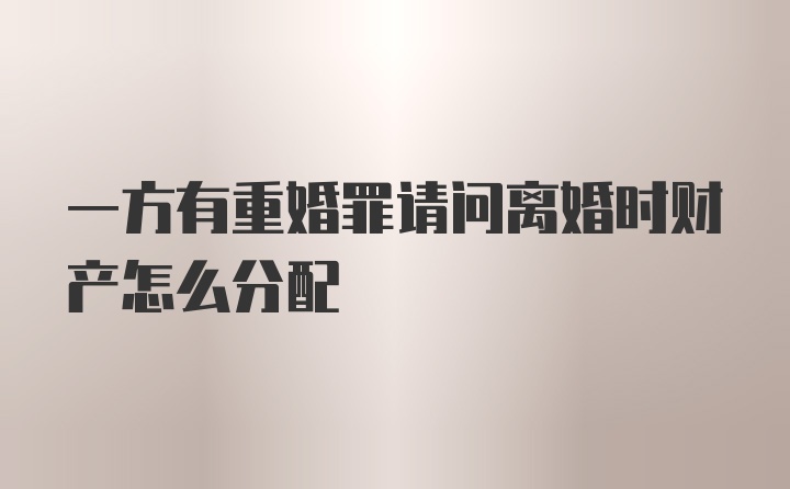 一方有重婚罪请问离婚时财产怎么分配