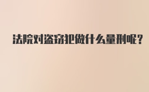 法院对盗窃犯做什么量刑呢？