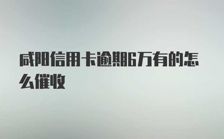 咸阳信用卡逾期6万有的怎么催收