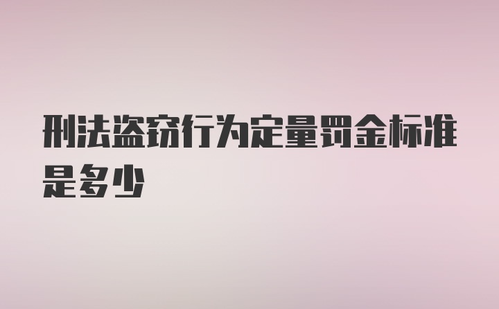 刑法盗窃行为定量罚金标准是多少