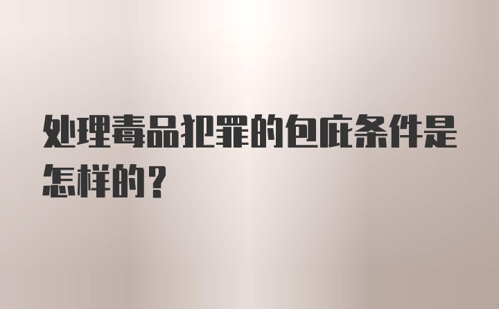 处理毒品犯罪的包庇条件是怎样的？