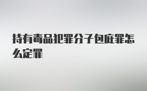 持有毒品犯罪分子包庇罪怎么定罪