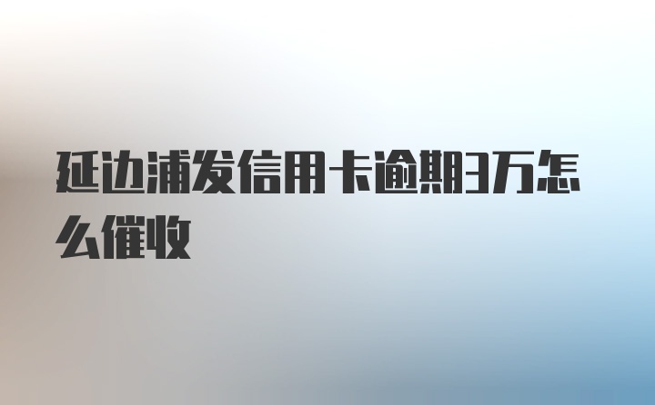 延边浦发信用卡逾期3万怎么催收