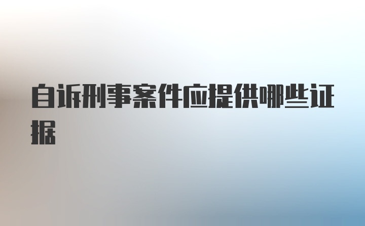 自诉刑事案件应提供哪些证据