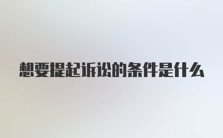 想要提起诉讼的条件是什么