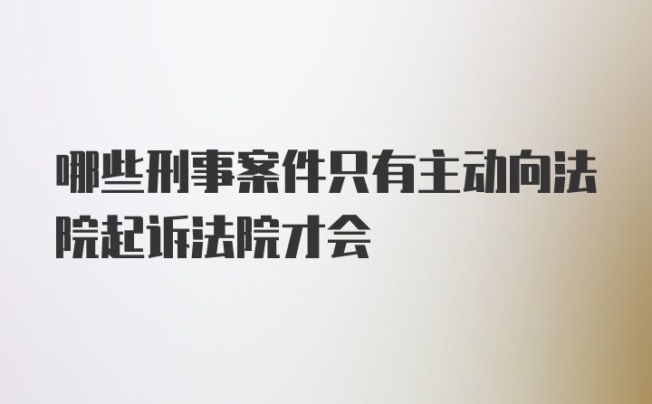 哪些刑事案件只有主动向法院起诉法院才会