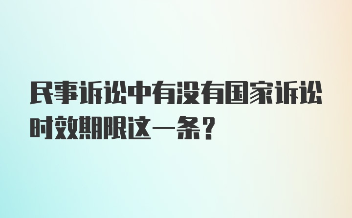 民事诉讼中有没有国家诉讼时效期限这一条？