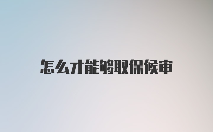 怎么才能够取保候审